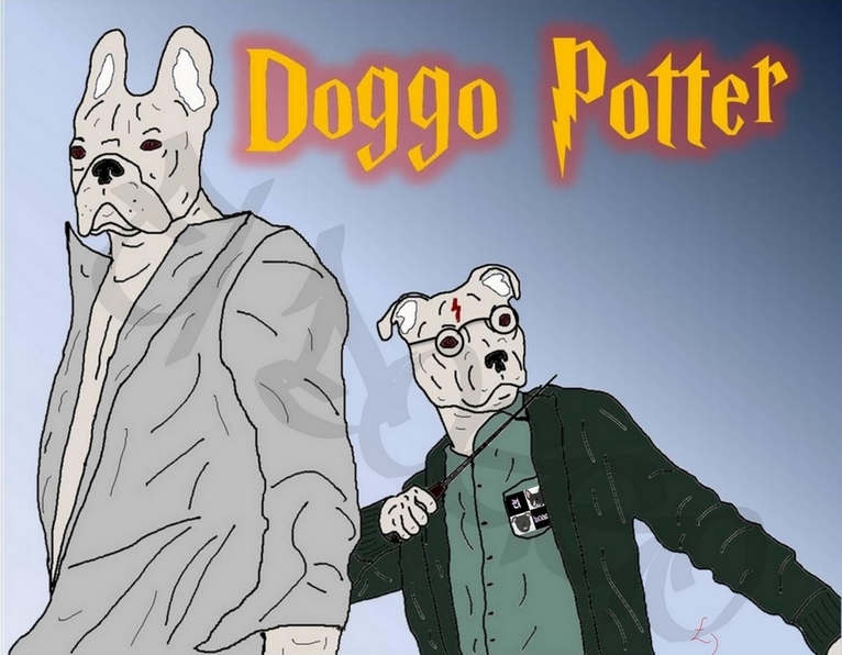 Cinéma Doggo Harry Potter